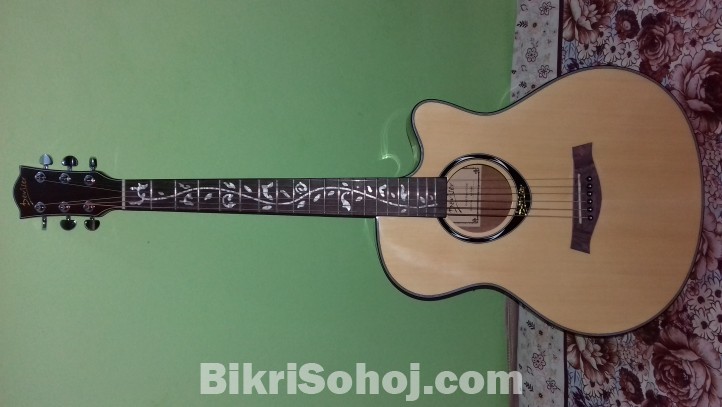 Acoustic Guitar